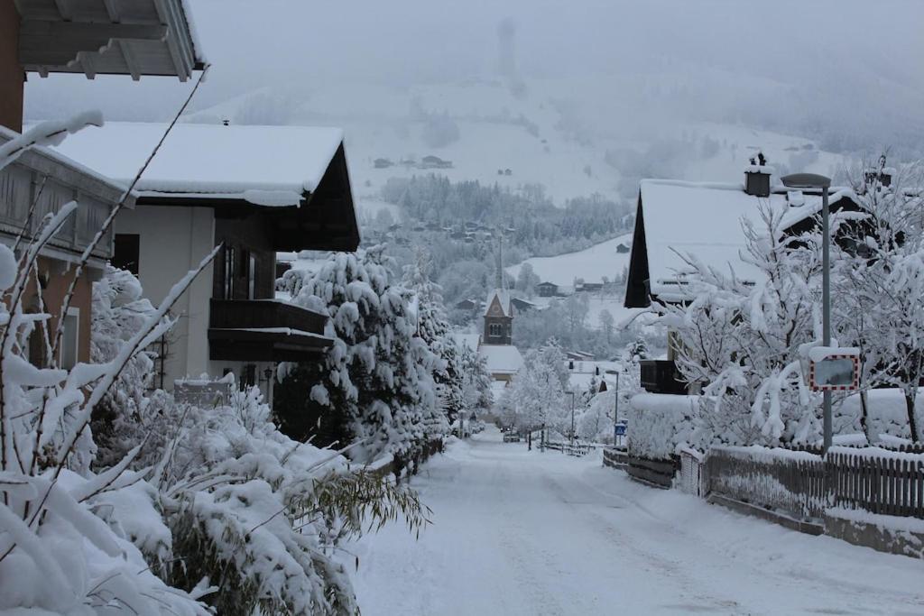 Haus Anna Louise - Niedernsill Apartment ภายนอก รูปภาพ
